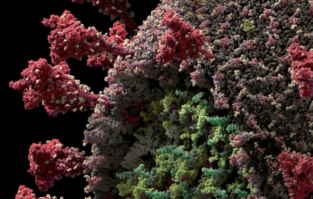 Imagem tridimensional do vírus Sars-Cov-2, causador da Covid-19