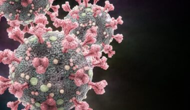 Novo constituído pode proteger contra Covid-19, gripe e outras infecções virais