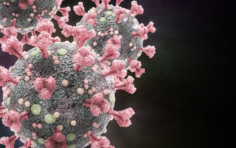 Novo formado pode proteger contra Covid-19, gripe e outras infecções virais